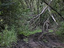 На Западе сообщили о панике из-за положения Украины