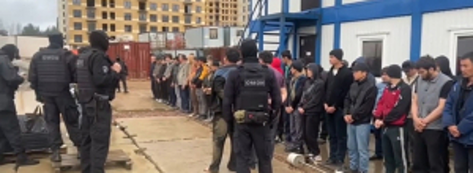 В Ленинградской области полицейские задержали подозреваемую в организации незаконной миграции