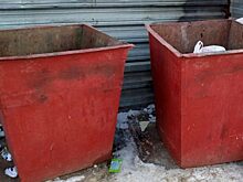 Уральцы потребовали ускорить введение раздельного сбора мусора