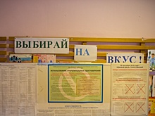«Самовыдвижение – это политическое самоубийство». Как свердловские кандидаты меняют партии перед выборами