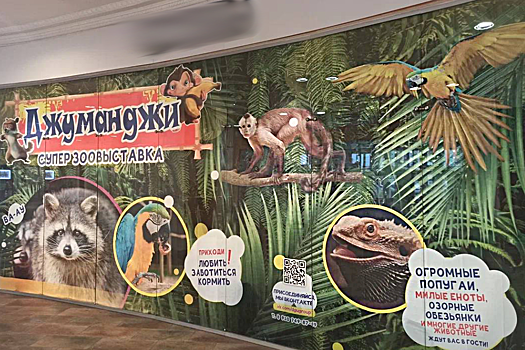 В Красноярске запретили опасное шоу передвижного зоопарка
