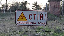 В Чернобыльской зоне отчуждения загорелся лес