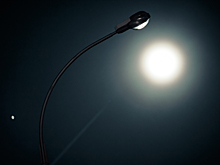 Волчья Луна скоро взойдёт над Кузбассом