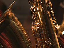 Выяснилось, почему в России не хватает музыкальных инструментов