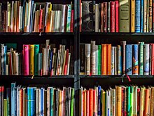 Библиотека в Тропареве-Никулине приглашает на онлайн-дискуссии о книгах
