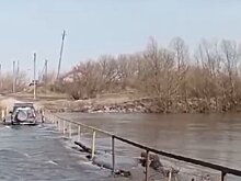 В Бессоновском районе смельчак преодолел залитый Сурой мост