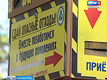 В Калининградской области появится единый оператор по обращению с опасными бытовыми отходами