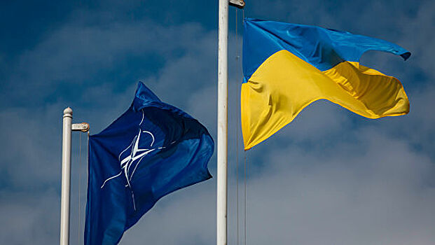 На Украине заявили о несовместимости с НАТО "на ментальном уровне"