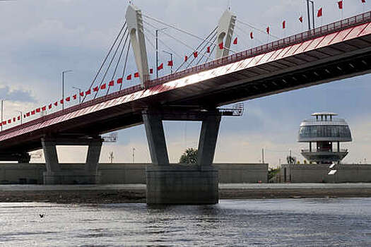 В Приамурье решили создать понтонный мост через реку для вывоза россиян из КНР