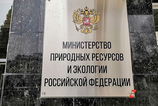 В столице Ямала запустят уникальный экопроект