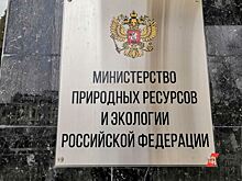 В столице Ямала запустят уникальный экопроект