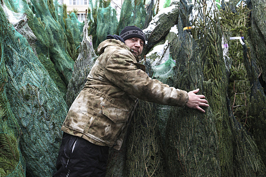 79349664f201deb58c94a718342d553d?img-format=auto&img-1-resize=height:350,fit:max&img-2-filter=sharpen