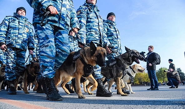 Губернатор проверил работу конных патрулей и кинологов