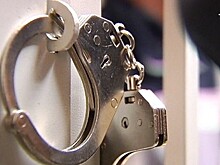 В Петербурге задержали главу местного отделения Росмолодежи