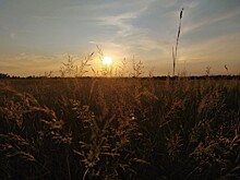 Билайн усилил зону покрытия 4G в пригородах Костромы и на трассе к Костромскому водохранилищу