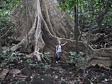Новые богатые жирными кислотами зеленые водоросли найдены в почвах Вьетнама