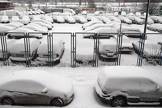 Россияне объяснили недоверие к параллельному импорту автомобилей