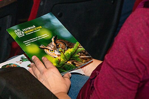 Департамент природопользования объявил победителя в спецноминации на фестивале «Разумный кинематограф»