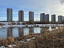 Челябинцы продолжат бороться за право жить без офиса нефтяной компании на берегу Миасса