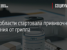 На Вешняковской 7 сентября будет работать мобильный пункт вакцинации животных