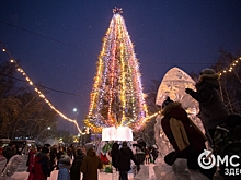 В омском парке установят ёлку с семиэтажный дом