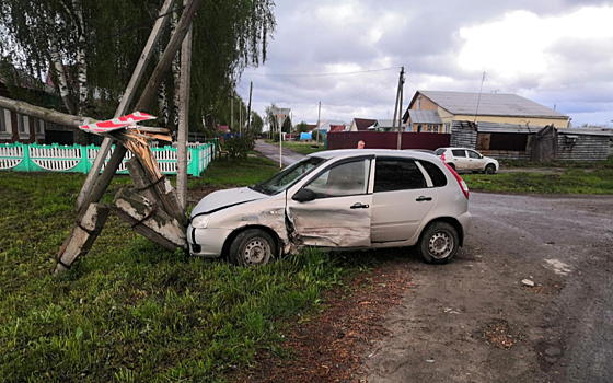Под Рязанью «Лада» врезалась в столб
