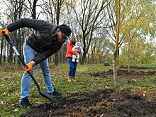 В конце марта начнут озеленять дворы и улицы округа