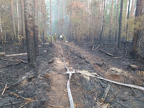 В Кировской области за неделю произошло 12 лесных пожаров по вине людей