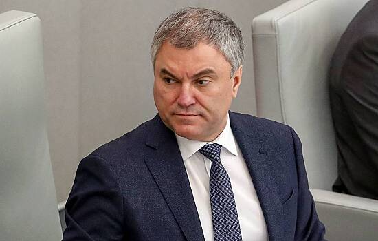 Володин пригрозил наказать украинских политиков