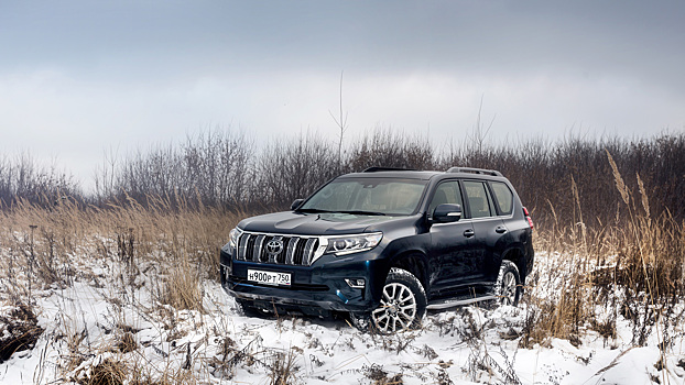 Land Cruiser Prado может делать все, что угодно