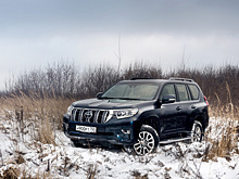 Land Cruiser Prado может делать все, что угодно
