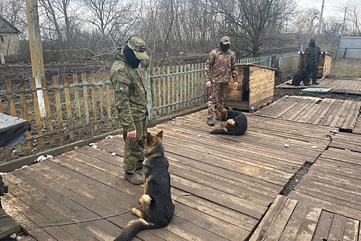 Ямальские депутаты выполнили заказ бойцов из зоны СВО