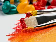 Тюлень из Калининградского зоопарка начал рисовать для борьбы со стрессом