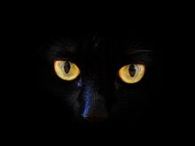 Пятница, 13-е: приметы и риск ДТП