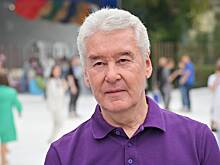 Собянин рассказал, как будет выглядеть новое здание галереи Василия Нестеренко