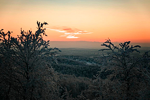 Министерство развития Арктики появится в Мурманской области