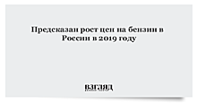 Ценам на бензин предсказали рост в 2019 году