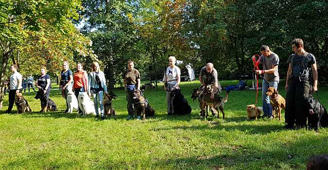 В парке поймы реки Битца прошел праздник «Собаки и экосреда Москвы»