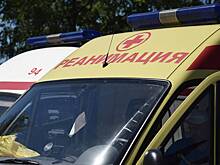 Вернувшийся с СВО рецидивист забил до смерти ветерана войны в Чечне