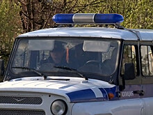 Под Владимиром озабоченный поиском жены друг из соцсетей убил многодетную мать