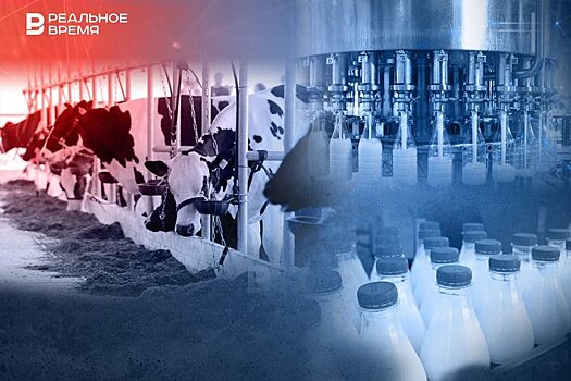 "С октября не платят": переработчики молока в Татарстане задолжали фермерам