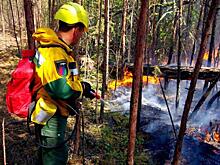 Дожди потушат лесные пожары на Среднем Урале