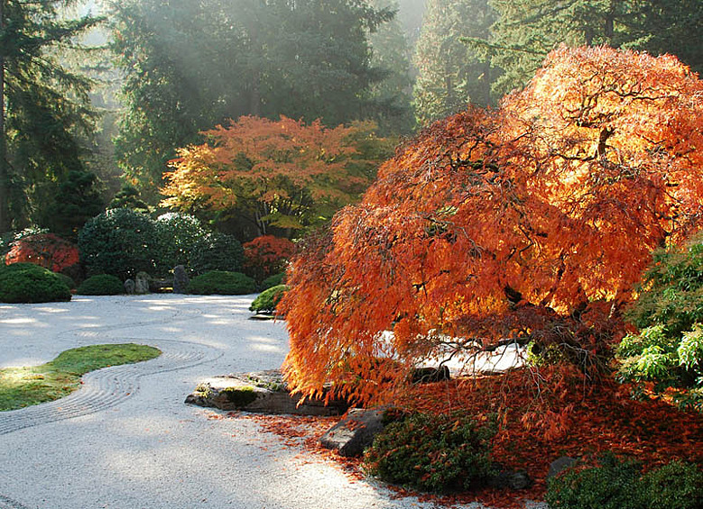 Японские сады в Портленде, США. (STEPHEN GRAY)
