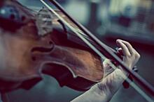 Информацию о скрипаче, лишившегося пальцев, опровергли в ГИТИС