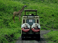 Переговоры об авиасообщении России с Танзанией вышли на финишную прямую