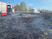 Пожарные Подмосковья ликвидировали пал травы в Луховицах