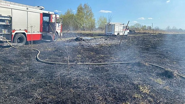 Пожарные Подмосковья ликвидировали пал травы в Луховицах