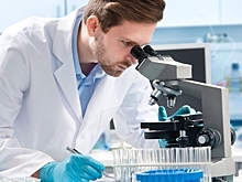 Страсти по медсправке: нововведения отложили