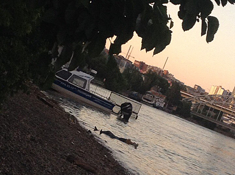 Недалеко от главного ростовского вокзала в реке нашли тело неизвестного мужчины