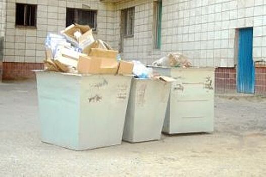 Мэр Усолье-Сибирского лично предотвратил вывоз нелегального мусора